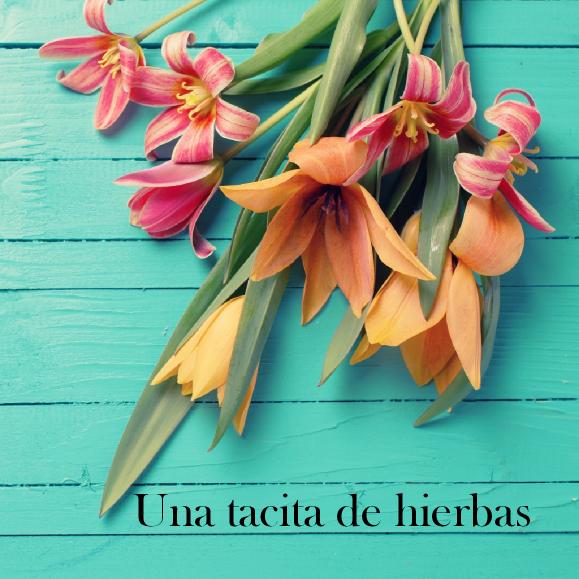 Imagen 12